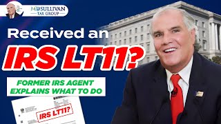 Received an IRS LT11 or 1058 Notice Here’s What You Need to Know [upl. by Parthena580]