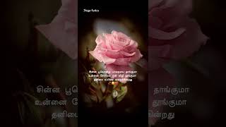 🥀Sollathan ninaikiren 🥀Female version whatsapp status Girls love feeling shorts lovestatus yt [upl. by Anyrak840]