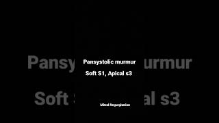 Murmur  Heart Sound  Pansystolic [upl. by Warfeld876]