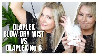 OLAPLEX BLOWDRY MIST VS OLAPLEX No 6 BOND SMOOTHER WHICH ONE IS BETTER [upl. by Haraz]