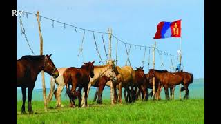 Эрдэнэ засгийн унага  Баттөмөр Erdene zasgiin unaga  Battumur [upl. by Eniaj]