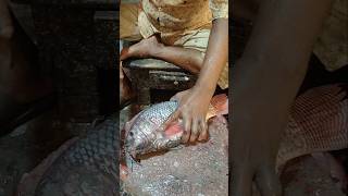 Amazing Huge Tilapia Fish Cutting Live In Bangladesh Fish Market  shorts fish fishing food [upl. by Olshausen]