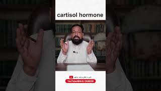 Cartisol Hormones Cartisol hormones ibnetabeeb hakeemzia herbalmedicine short foryou ytvideo [upl. by Macleod720]