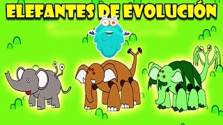 La evolución de Elefantes  Mamuts y Mastodontes  Educativos para niños [upl. by Balas870]