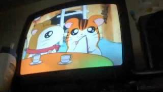 hamtaro episode 6 part 12 [upl. by Vite57]