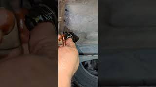 🛢 oil daak Nutt hyundai accent machine engine shorts youtubeshorts short [upl. by Nylirrej]