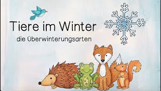 Tiere im Winter  Überwinterungsstrategien  Winterschlaf Winterruhe Winterstarre Winterflucht [upl. by Mehala]