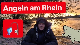 Angeln am Rhein 2024 Dicker Fisch PB 🎣😲 [upl. by Elocin110]