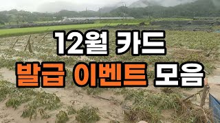 12월 카드 발급 이벤트 총정리  농사 망했다 [upl. by Arihaj640]