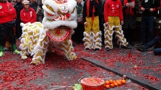 Chinees Nieuwjaar 2017 Amsterdam Het Jaar van de Haan [upl. by Hedvig]