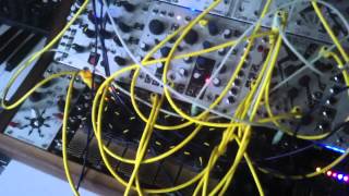 Harvestman Polivoks VCGVCFLPG wogglebug euro modular synth [upl. by Ahseinet49]