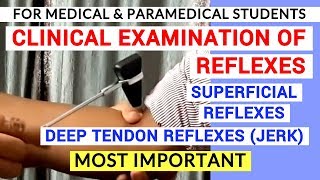 REFLEXES EXAMINATION  CLINICAL LAB  PHYSIOLOGY PRACTICALS [upl. by Adianez]