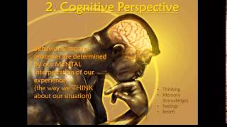 Psych 1  010403 Cognitive Perspective [upl. by Rabma]