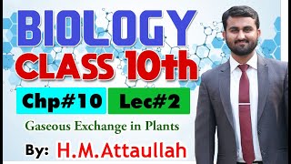 Gaseous Exchange in Plants  Chapter  10  Biology Class 10th Lec2 [upl. by Esorrebma254]