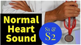 Normal S1 and S2 Heart Sounds With Explanation [upl. by Aelyk]