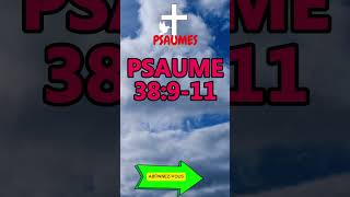 PSAUME 38911 [upl. by Tihor]