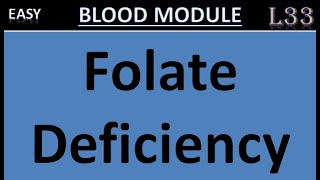 L33 Folate Deficiency Symptoms amp Causes  Megaloblastic Anemia  Cerebral folate deficiency FIGLU [upl. by Abbottson568]