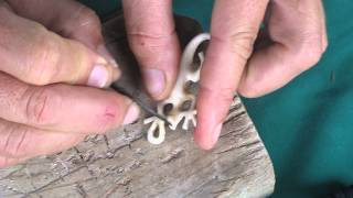 How to carve a Gecko out of Bone by elenasjewelry com [upl. by Yelwar277]