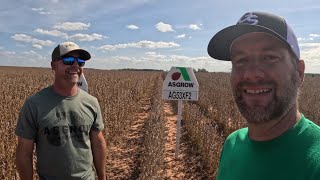 The Secrets to Massive Soybean Yields Part 1 [upl. by Nabatse220]