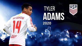 Tyler Adams  American Defensive MF ·2020 Skills Tackles Goals amp Passes [upl. by Hobard742]