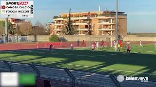 ECCELLENZA  CANOSAFOGGIA INCEDIT 10 [upl. by Lyndell]