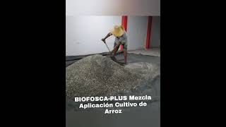 APLICACIÓN Y USO DEL FERTILIZANTE BIOFOSCAPLUS USO RADICULARSUELO [upl. by Minier]