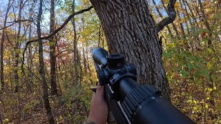 Squirrel Hunting  MN  25 MPH WIND [upl. by Niltak161]