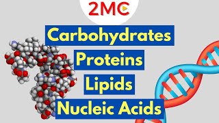 Macromolecules Explained  2MC GIGAVID [upl. by Gnem]