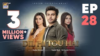 Dil Hi Tou Hai Episode 28  Ali Ansari  Zoya Nasir  4 Nov 2023  ARY Digital [upl. by Poler622]