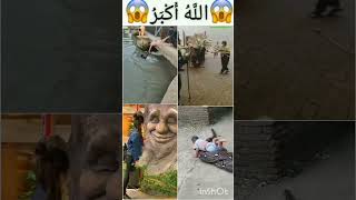 Allah makkah madina🕋🤲 islamicvideo islamic viral shorts islamicstatus [upl. by Smoht]