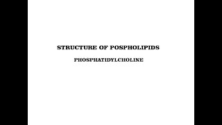 structure of phosphatidylcholine  phospholipids [upl. by Yvon]