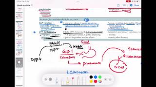 DPP 4 inhibitors mechanism of action endocrinology 91  First Aid USMLE Step 1 in UrduHindi [upl. by Leora883]