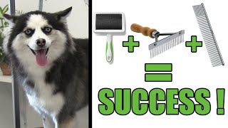 How To Deshed amp Brush Your DOG  Pro Grooming Tutorial [upl. by Edythe123]