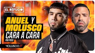 Anuel y Molusco cara a cara por Ozuna por poco Cantante vista con Camisa de Moli Lupillo seduce [upl. by Eellehs439]