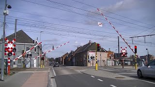 Spoorwegovergang Oudegem B  Railroad crossing  Passage à niveau [upl. by Thorin232]