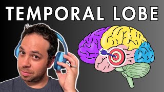 The Temporal Lobe  Location and Function [upl. by Petite264]