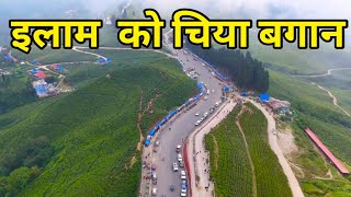 इलाम को कन्याम चिया बगान Kanyam chiya bagan kati ramro [upl. by Kurland]