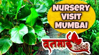 Vanmai Nursery  An Affordable Plant Paradise in Panvel  Nursery Tour Plants at cheap prices [upl. by Cresa]