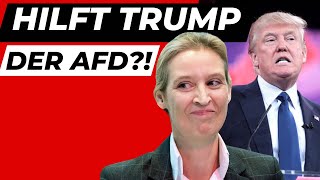 Weidel und Trump im Gespräch Deutsche Medien außer sich [upl. by Cherida]