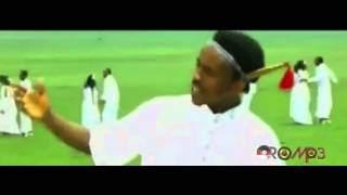 Oromo Music  Nigusu Tamirat  Laga Saay [upl. by Claudian]