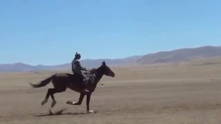 The fastest horse Naimantori Самый быстрый скакун Найманның шабысы [upl. by Koren605]