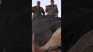 Hunting Cape Buffalo with Sup Africa Safaris [upl. by Mclain]