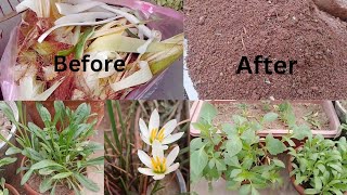 How Do I Make Compost for My garden with full updatesThe simplest Easy Mathod to compost pile [upl. by Shafer]