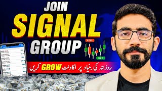 Make Daily Profits With Our Premium SIGNAL GROUP Forex [upl. by Autum421]