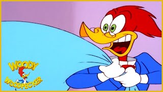 Woody Woodpecker Show  1 Hour Compilation  Cartoons For Children [upl. by Ignaz]