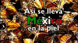 Asi se siente Mexico [upl. by Trilly]