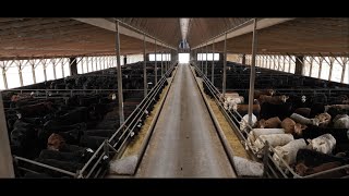 2024 Western Canada Feedlot Management School Promo [upl. by Luht812]