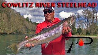 Cowlitz River Steelhead [upl. by Schultz]