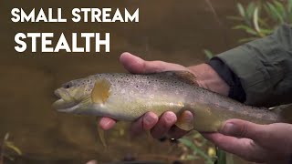 Small Stream Stealth for Trout [upl. by Jonah]