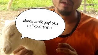 chagli amik kabeg mayeml okom likpenamn kangkelai [upl. by Cirilo82]